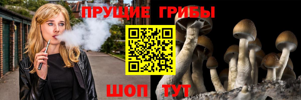 Галлюциногенные грибы Psilocybe  Вход с VPN  Ишимбай 